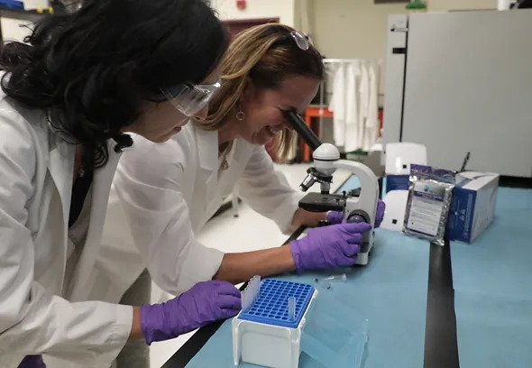 Two individuals in a lab environment looking at a sample through a microscope